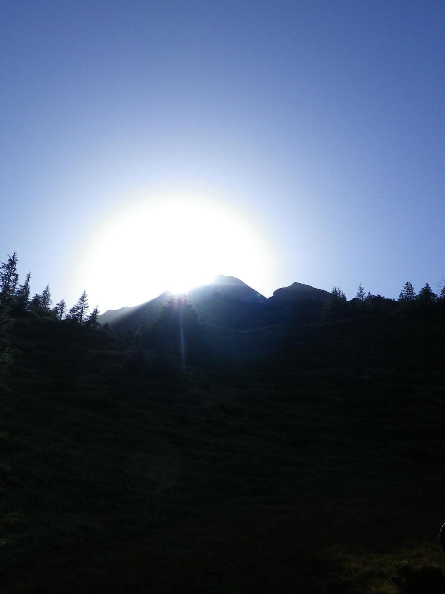 Alpenlodge Willigen Bagian luar foto