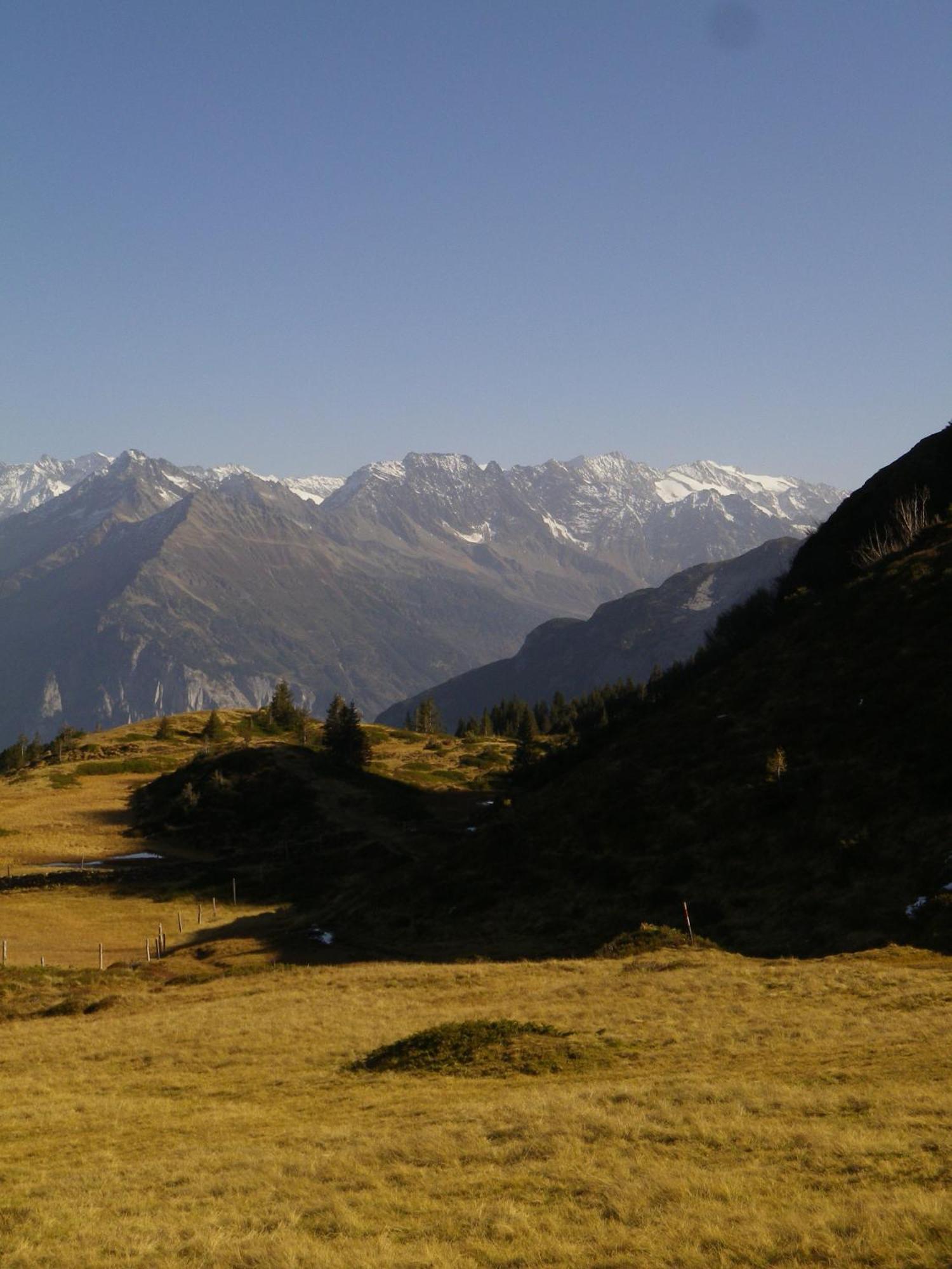 Alpenlodge Willigen Bagian luar foto