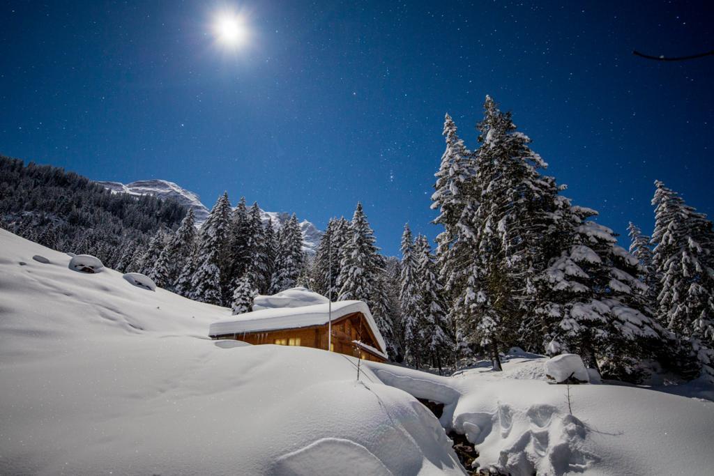 Alpenlodge Willigen Bagian luar foto