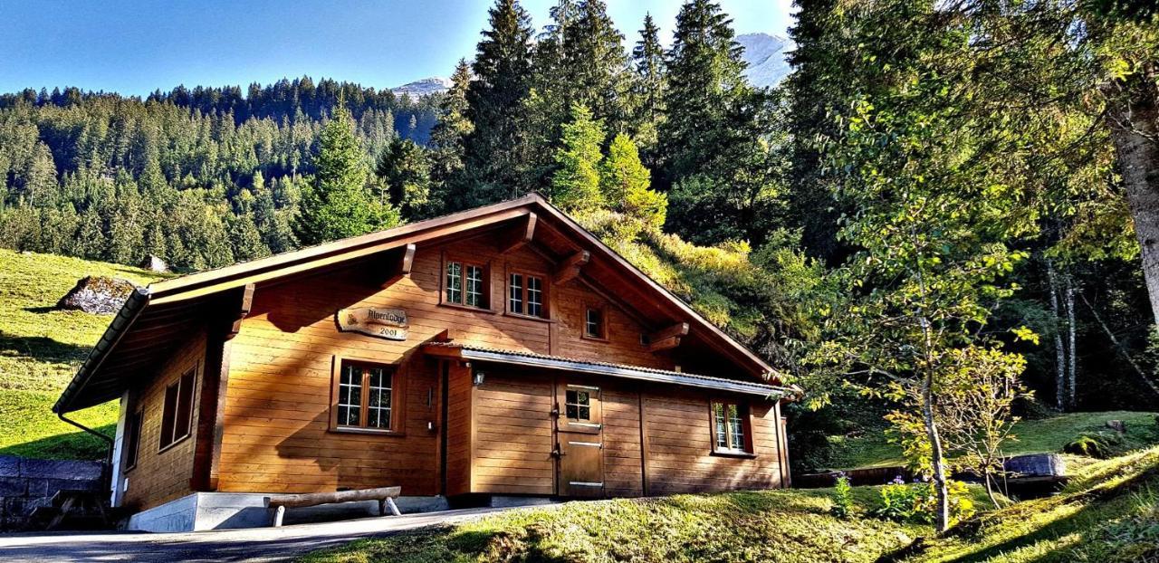 Alpenlodge Willigen Bagian luar foto