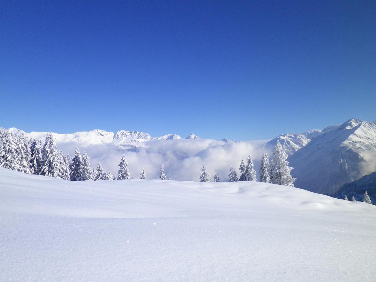 Alpenlodge Willigen Bagian luar foto