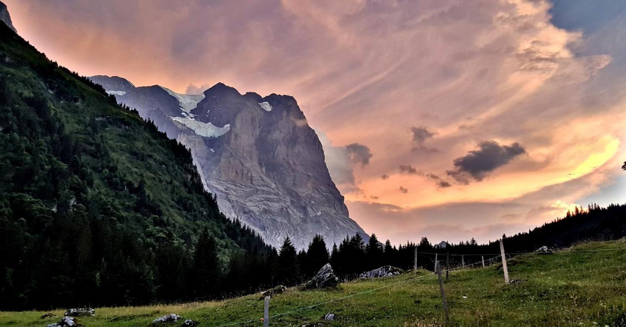 Alpenlodge Willigen Bagian luar foto