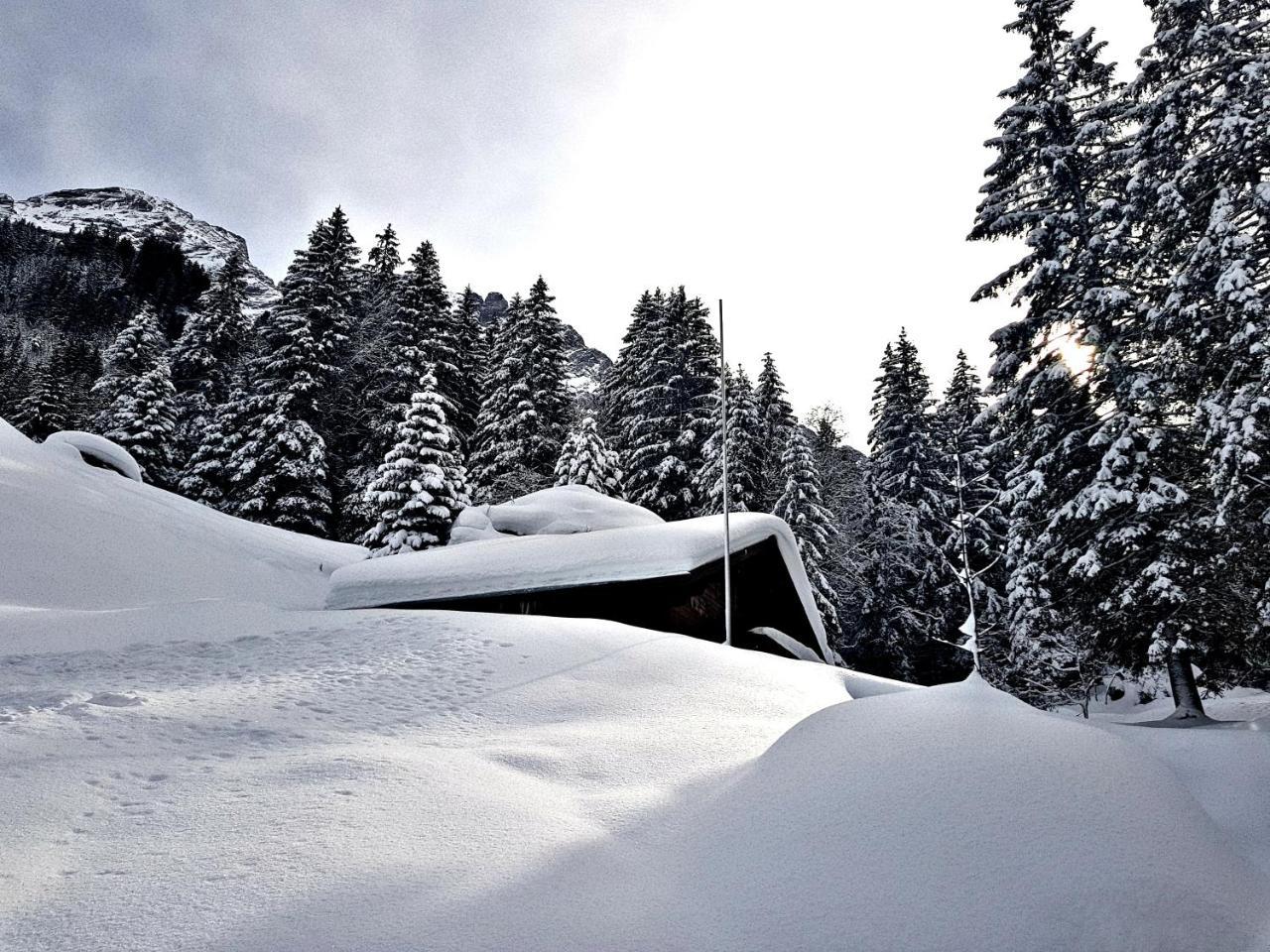 Alpenlodge Willigen Bagian luar foto