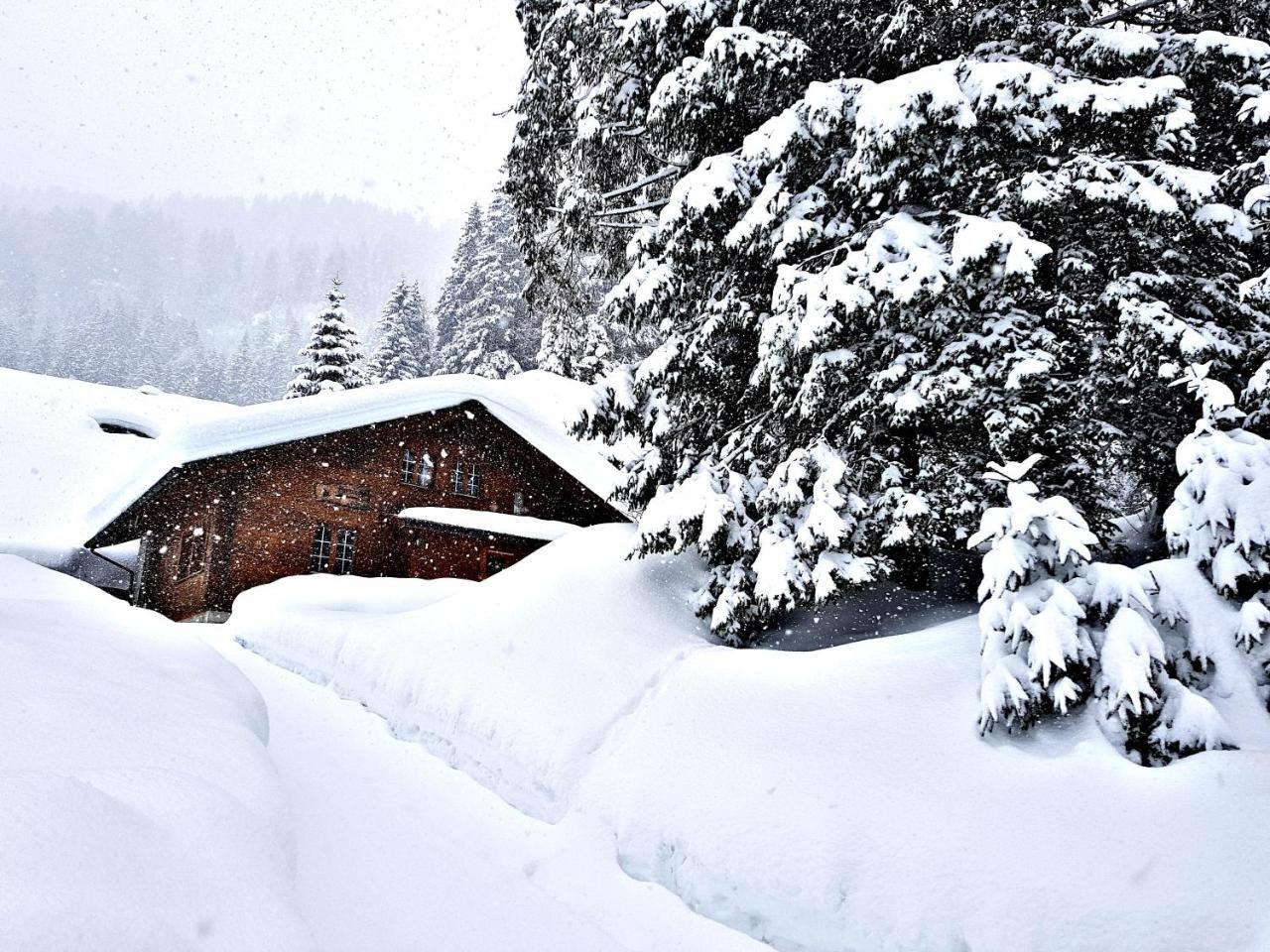 Alpenlodge Willigen Bagian luar foto