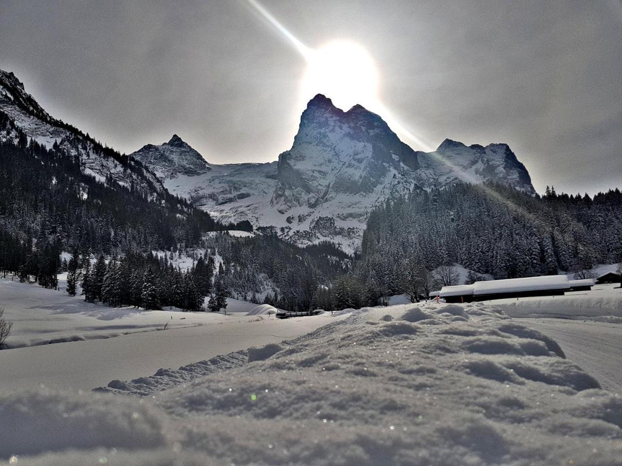 Alpenlodge Willigen Bagian luar foto