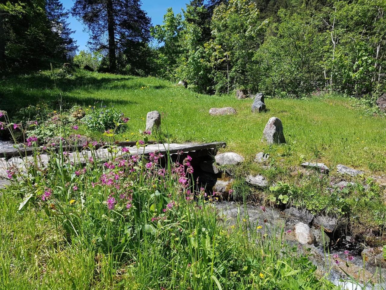 Alpenlodge Willigen Bagian luar foto