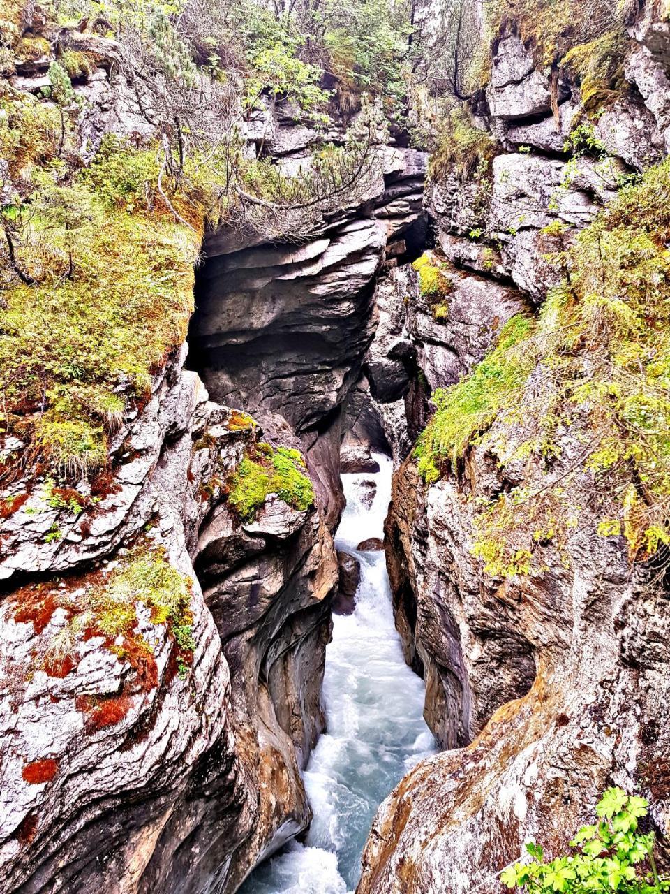 Alpenlodge Willigen Bagian luar foto