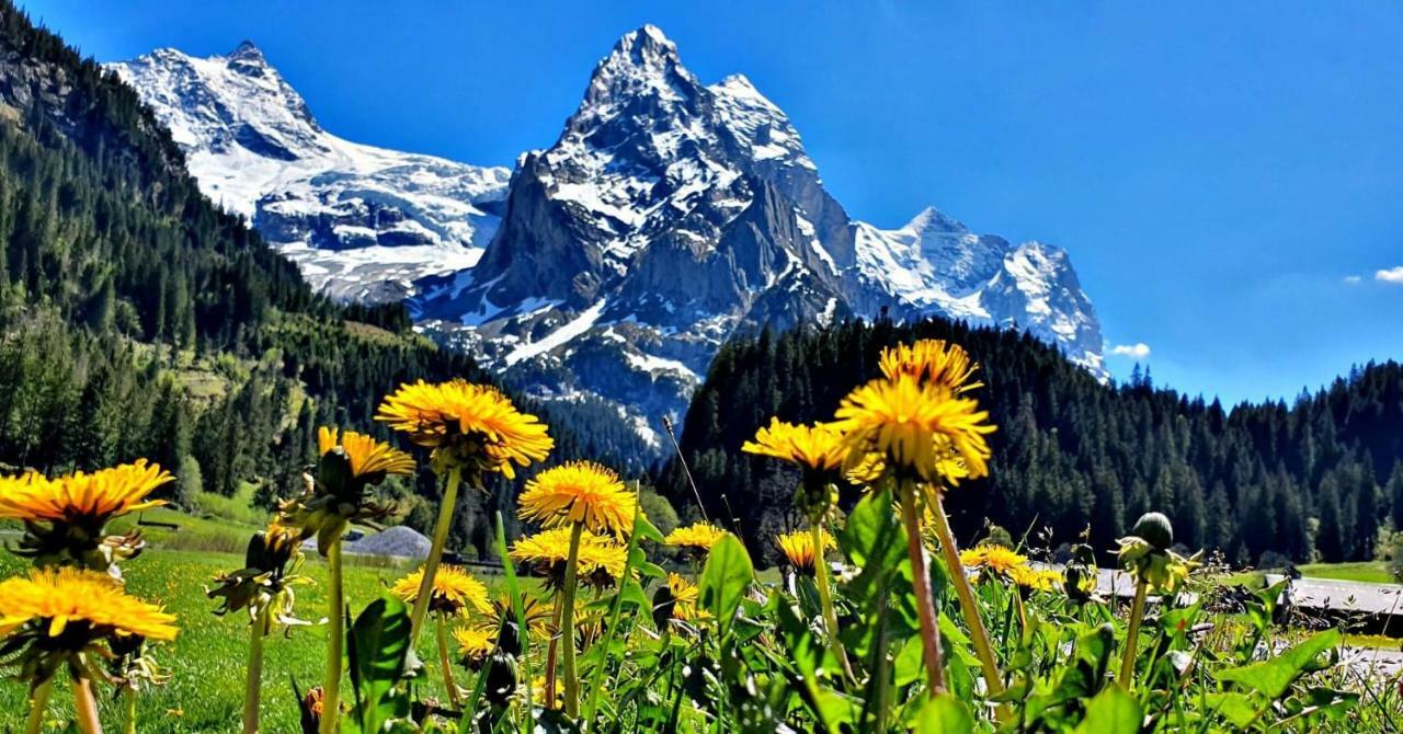 Alpenlodge Willigen Bagian luar foto