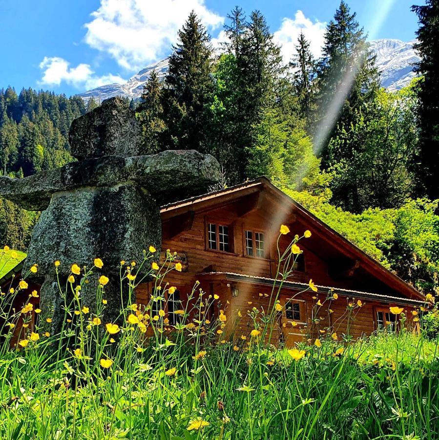 Alpenlodge Willigen Bagian luar foto