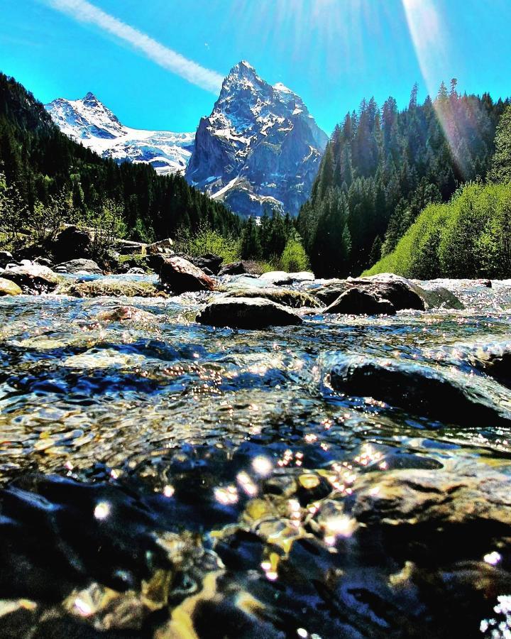 Alpenlodge Willigen Bagian luar foto